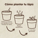 LÁPIZ PLANTABLE CON SEMILLA DE TOMATE