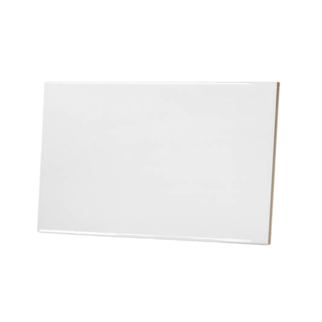 BALDOSA DE CERÁMICA 20X30CM